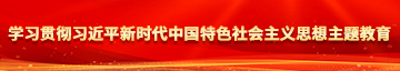 老太太操BXXx学习贯彻习近平新时代中国特色社会主义思想主题教育