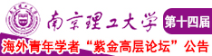 好屌肏日本女人屄视频南京理工大学第十四届海外青年学者紫金论坛诚邀海内外英才！